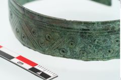 Foto von Bronzebandarmreif (NHMW-PRAE-024584)